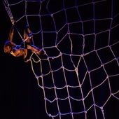 faUN: Compagnie Pal Frenak