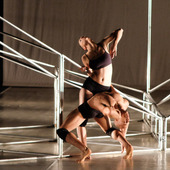 Flow - Festival Internațional de Teatru Mișcare (27 noiembrie - 1 decembrie, 2015)