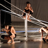 Flow - Festival Internațional de Teatru Mișcare (27 noiembrie - 1 decembrie, 2015)