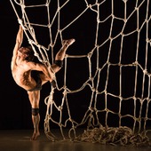 FLOW2 - Festival Internațional de Teatru Mișcare (22 - 26 noiembrie, 2017)