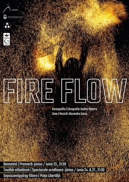 FIRE FLOW - show de jonglerie de foc  